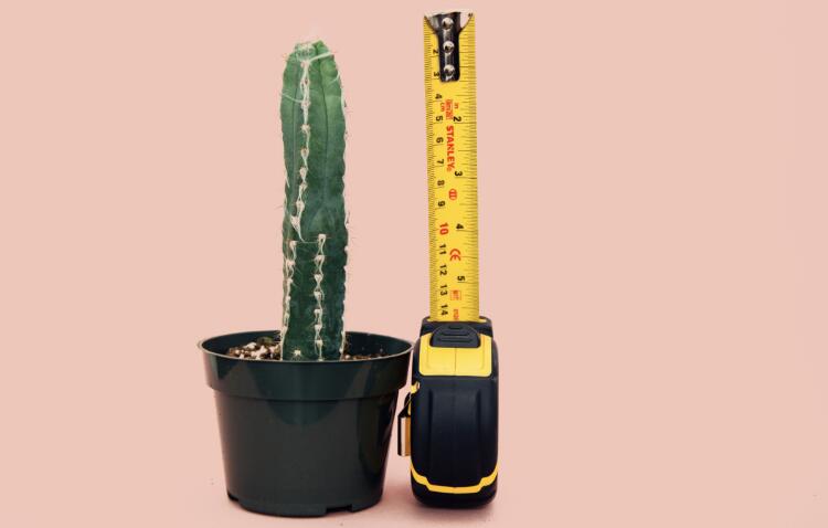 关于通用伟哥的7件事